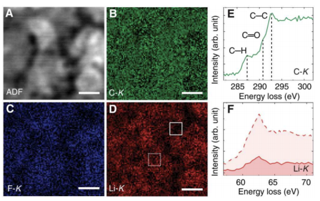 Yujun Xie Published a Work in Science Advances