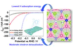 Dual tuning of Ni–Co–A (A= P, Se, O) nanosheets by anion substitution and holey engineering for efficient hydrogen evolution