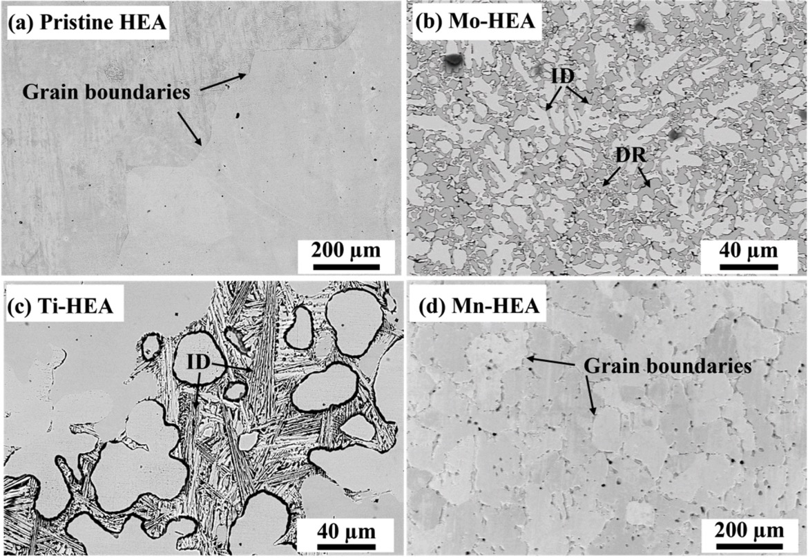 Effect of alloying elements (Mn, Ti, and Mo) on the corrosion behavior of FeCoNiCr-based high entropy alloy in supercritical water