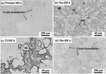 Effect of alloying elements (Mn, Ti, and Mo) on the corrosion behavior of FeCoNiCr-based high entropy alloy in supercritical water