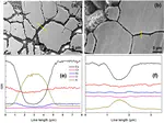 Effect of tellurium concentration on the corrosion and mechanical properties of 304 stainless steel in molten FLiNaK salt